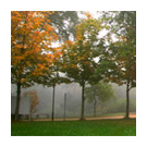 Campus im Nebel